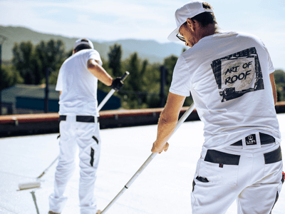 About Leaking Skylight Repair Pros Shonto, AZ